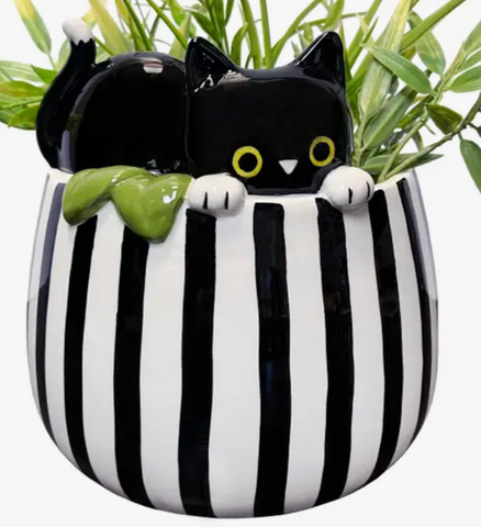 Striped Black Cat Planter