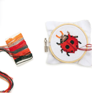 Lady Bug Kit