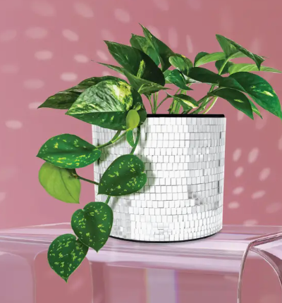 Disco Plant Pot