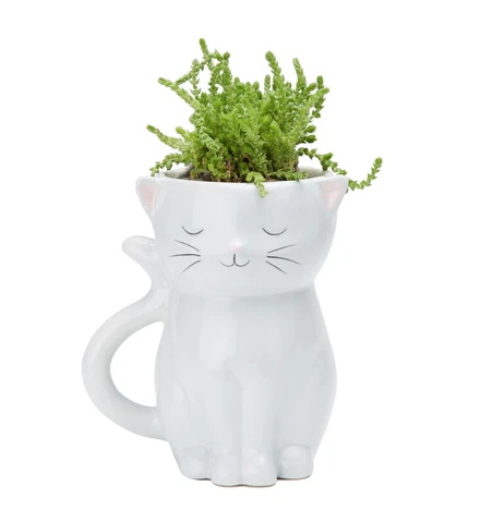 White Cat Planter