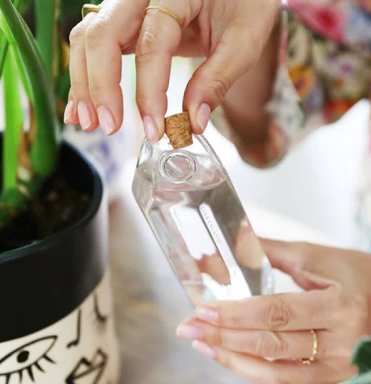 Water From A Crystal