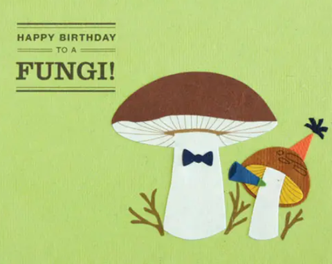 Happy Birthday To A Fungi Card 