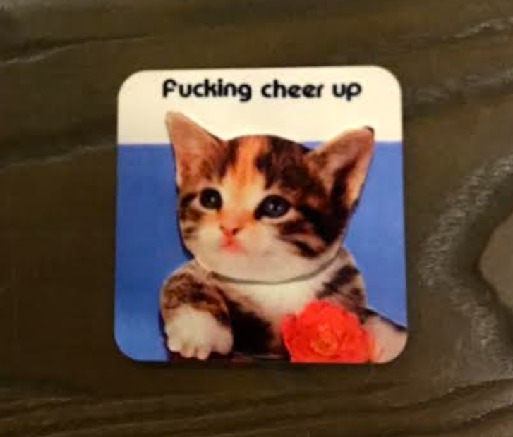 Fucking Cheer Up Cat Coaster