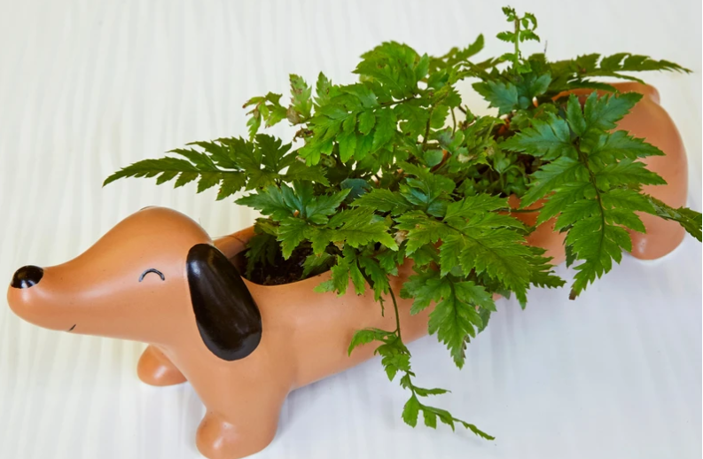 Dachshund Planter