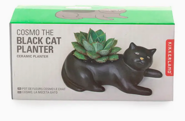 Black Cat Ceramic Planter 