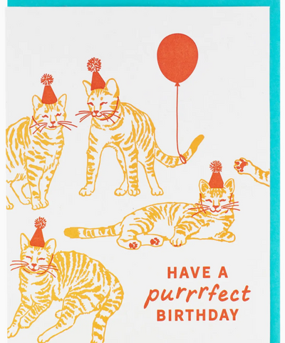 Orange Cats Birthday Card