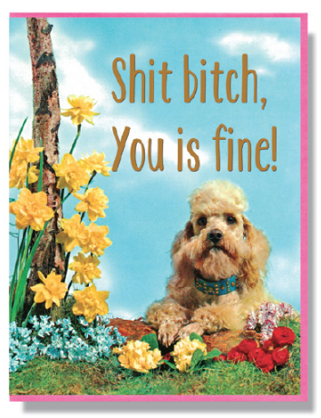 Shit Bitch You Is Fine Card 