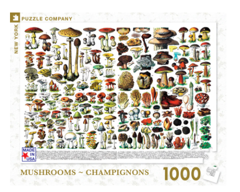 Mushrooms 1000 Piece Puzzle - Steel Petal Press