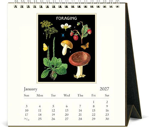 2027 Cavallini Desk Calendar Foraging Mushrooms
