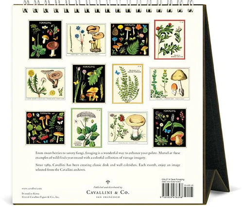 2027 Cavallini Desk Calendar Foraging Mushrooms