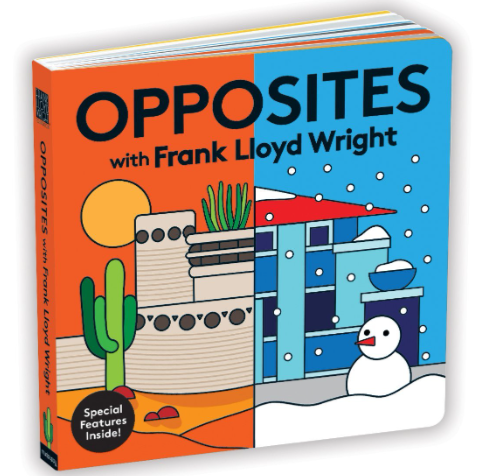 Opposites Children Book