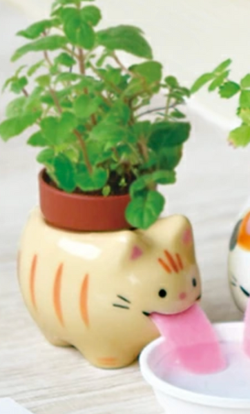 Peropon Self Watering Planters