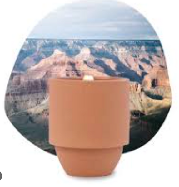Cactus Flower National Park Candle