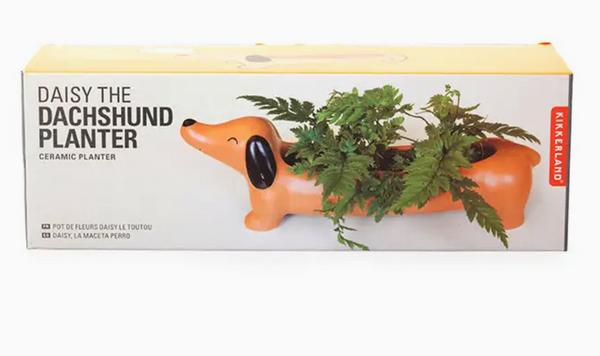 Dachshund Dog Ceramic Planter