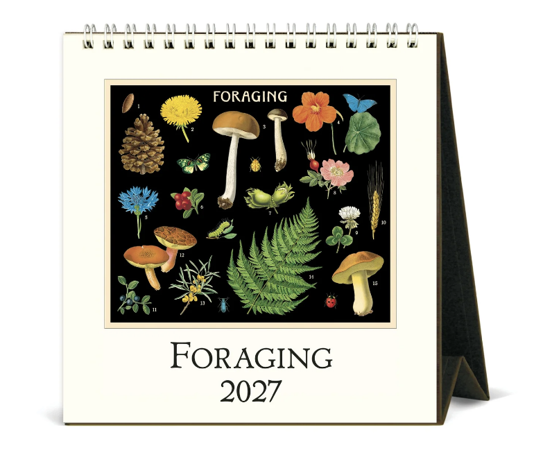 2027 Cavallini Desk Calendar Foraging Mushrooms