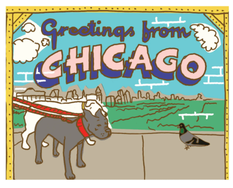 Greetings From Chicago Dogs Postcard