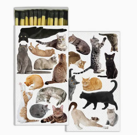 Cats Matches