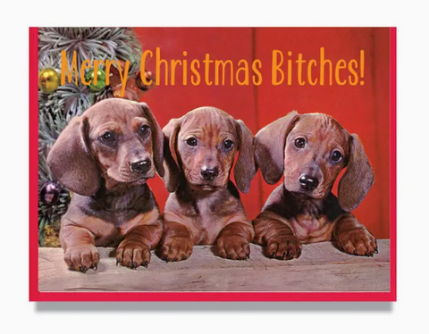 Christmas Bitches Puppy Card 