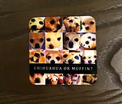 Chihuahua Or Muffin Coaster 