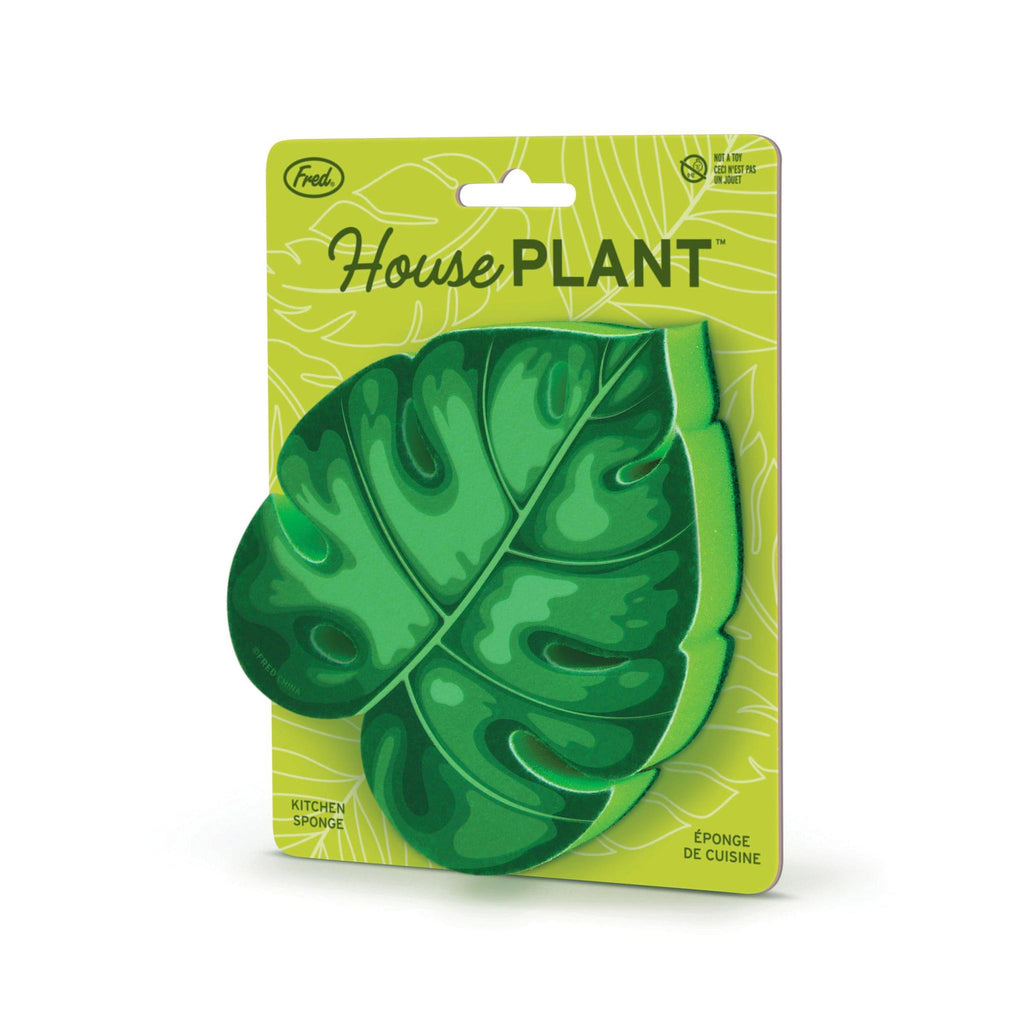 House Plant Leaf Monstera Kitchen Sponge