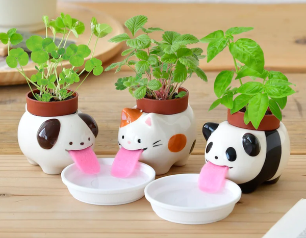 Self Watering Animal Planters