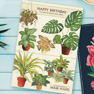 Happy Birthday House Plants Card
