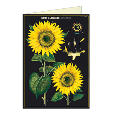Sunflower Card - Steel Petal Press