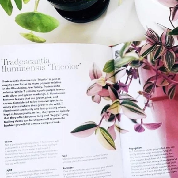 How To Raise A Plant And Make It Love You Back Book
