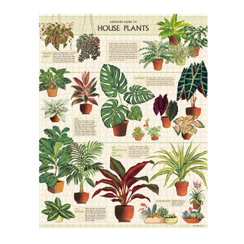 House Plant Vintage 1000 Piece Puzzle - Steel Petal Press
