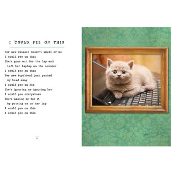 I Could Pee on This And Other Poems By Cats Hardcover Book