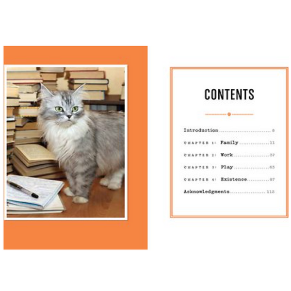 I Could Pee on This And Other Poems By Cats Hardcover Book