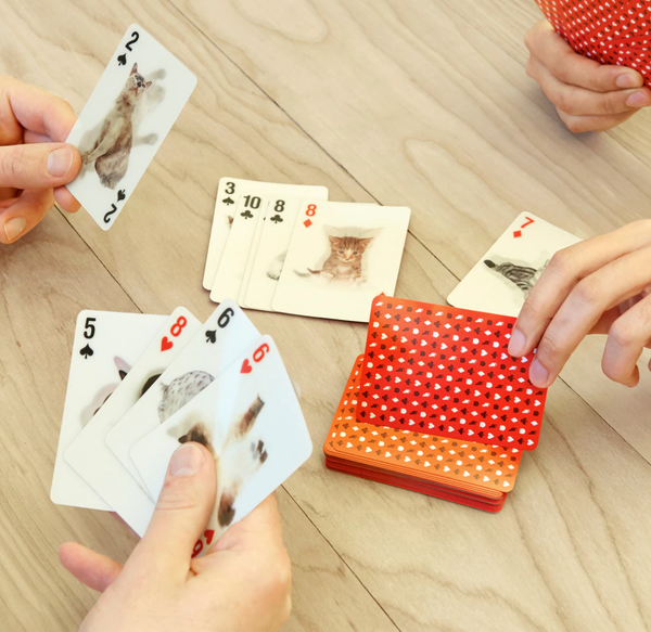 3D Cat Playing Cards