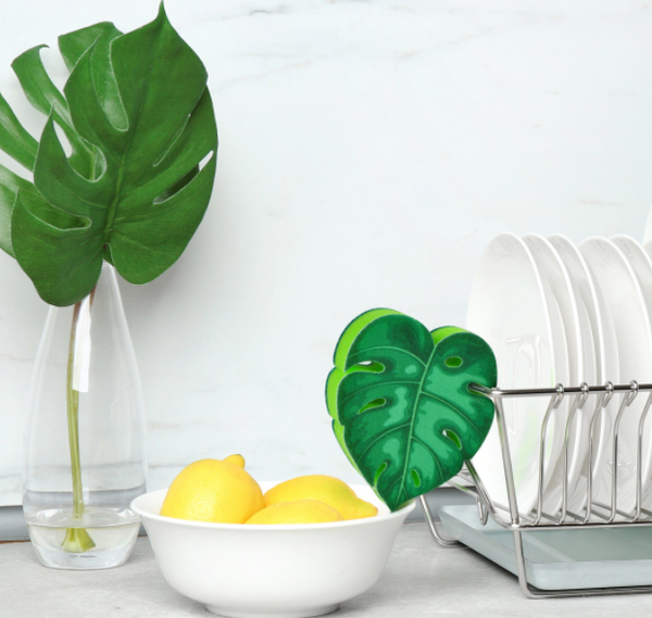 House Plant Leaf Monstera Kitchen Sponge