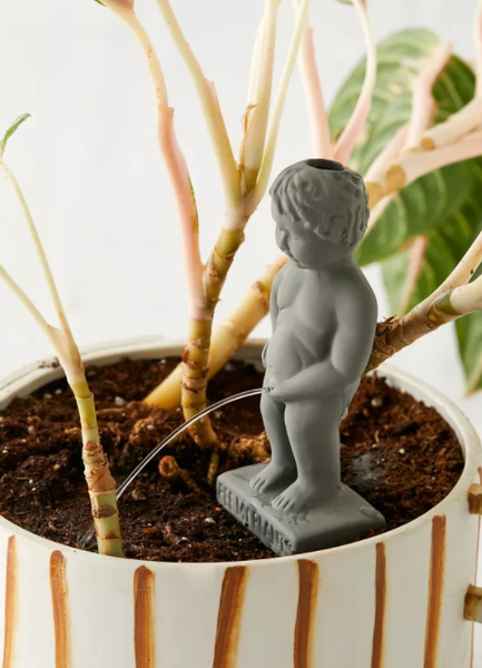 Pee My Plant