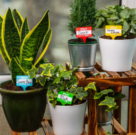 Plant Name Badges
