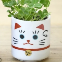 Mini Lucky Cat Clover Kit