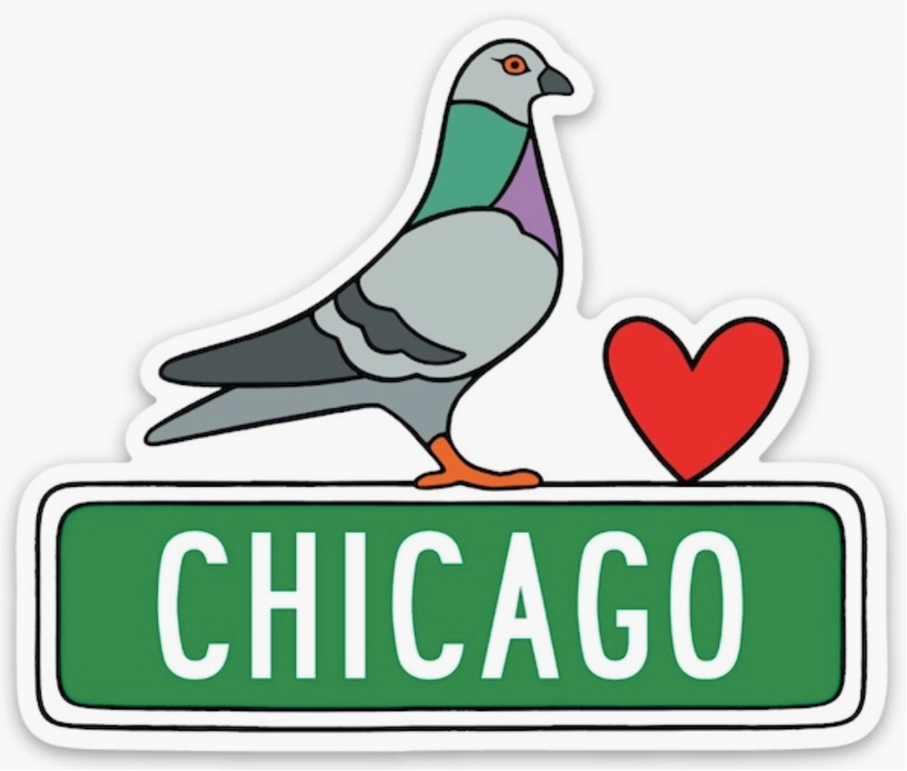 Chicago Pigeon Sticker 