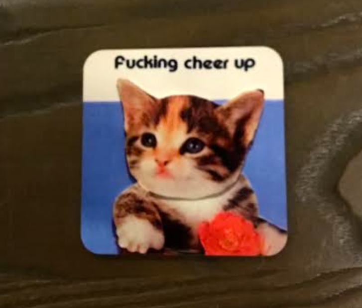 Fucking Cheer Up Cat Coaster 